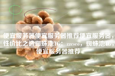 便宜服务器便宜服务器推荐便宜服务器，性价比之选蜘蛛池TG：zzcseo，蜘蛛池TG，便宜服务器推荐