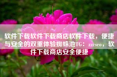 软件下载软件下载商店软件下载，便捷与安全的双重体验蜘蛛池TG：zzcseo，软件下载商店安全便捷
