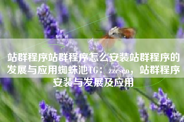 站群程序站群程序怎么安装站群程序的发展与应用蜘蛛池TG：zzcseo，站群程序安装与发展及应用