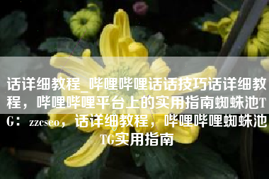 话详细教程_哔哩哔哩话话技巧话详细教程，哔哩哔哩平台上的实用指南蜘蛛池TG：zzcseo，话详细教程，哔哩哔哩蜘蛛池TG实用指南