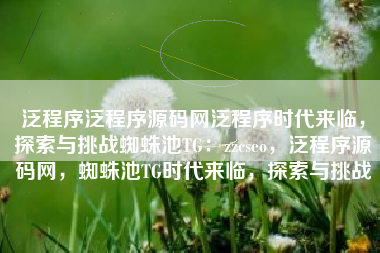 泛程序泛程序源码网泛程序时代来临，探索与挑战蜘蛛池TG：zzcseo，泛程序源码网，蜘蛛池TG时代来临，探索与挑战