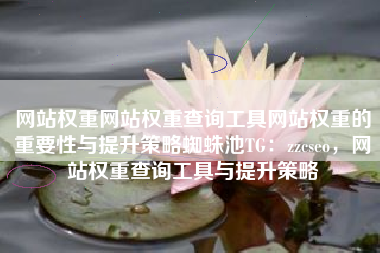 网站权重网站权重查询工具网站权重的重要性与提升策略蜘蛛池TG：zzcseo，网站权重查询工具与提升策略
