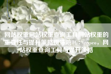 网站权重网站权重查询工具网站权重的重要性与提升策略蜘蛛池TG：zzcseo，网站权重查询工具与提升策略