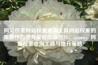网站权重网站权重查询工具网站权重的重要性与提升策略蜘蛛池TG：zzcseo，网站权重查询工具与提升策略