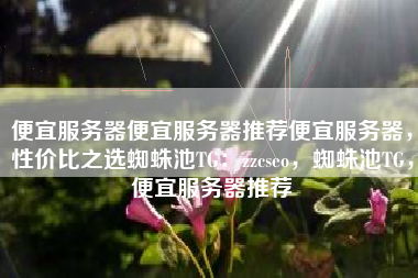 便宜服务器便宜服务器推荐便宜服务器，性价比之选蜘蛛池TG：zzcseo，蜘蛛池TG，便宜服务器推荐