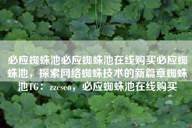 必应蜘蛛池必应蜘蛛池在线购买必应蜘蛛池，探索网络蜘蛛技术的新篇章蜘蛛池TG：zzcseo，必应蜘蛛池在线购买