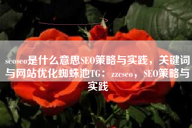 seoseo是什么意思SEO策略与实践，关键词与网站优化蜘蛛池TG：zzcseo，SEO策略与实践