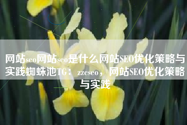 网站seo网站seo是什么网站SEO优化策略与实践蜘蛛池TG：zzcseo，网站SEO优化策略与实践