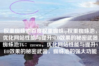 权重蜘蛛池百度权重蜘蛛ip权重蜘蛛池，优化网站性能与提升SEO效果的秘密武器蜘蛛池TG：zzcseo，优化网站性能与提升SEO效果的秘密武器，蜘蛛池的强大功能