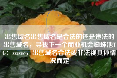 出售域名出售域名是合法的还是违法的出售域名，寻找下一个商业机会蜘蛛池TG：zzcseo，出售域名合法或非法视具体情况而定