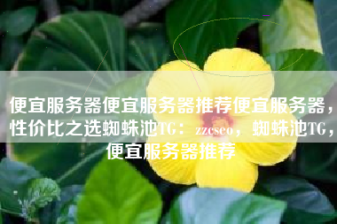便宜服务器便宜服务器推荐便宜服务器，性价比之选蜘蛛池TG：zzcseo，蜘蛛池TG，便宜服务器推荐