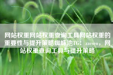 网站权重网站权重查询工具网站权重的重要性与提升策略蜘蛛池TG：zzcseo，网站权重查询工具与提升策略
