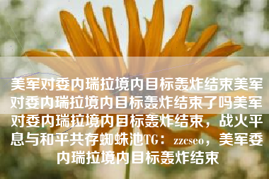 美军对委内瑞拉境内目标轰炸结束美军对委内瑞拉境内目标轰炸结束了吗美军对委内瑞拉境内目标轰炸结束，战火平息与和平共存蜘蛛池TG：zzcseo，美军委内瑞拉境内目标轰炸结束