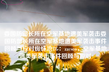 委国防部长所在空军基地遭美军袭击委国防部长所在空军基地遭美军袭击事件回顾与应对蜘蛛池TG：zzcseo，空军基地遭美军袭击事件回顾与应对