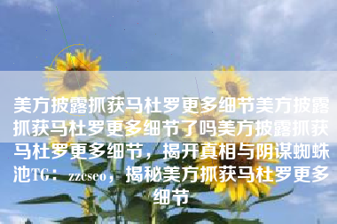 美方披露抓获马杜罗更多细节美方披露抓获马杜罗更多细节了吗美方披露抓获马杜罗更多细节，揭开真相与阴谋蜘蛛池TG：zzcseo，揭秘美方抓获马杜罗更多细节