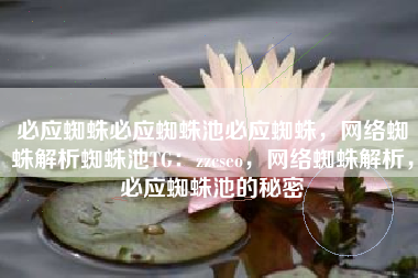 必应蜘蛛必应蜘蛛池必应蜘蛛，网络蜘蛛解析蜘蛛池TG：zzcseo，网络蜘蛛解析，必应蜘蛛池的秘密