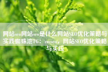 网站seo网站seo是什么网站SEO优化策略与实践蜘蛛池TG：zzcseo，网站SEO优化策略与实践