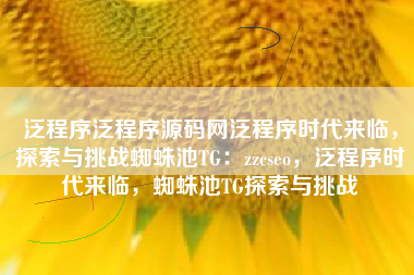 泛程序泛程序源码网泛程序时代来临，探索与挑战蜘蛛池TG：zzcseo，泛程序时代来临，蜘蛛池TG探索与挑战