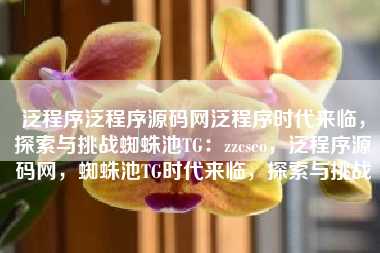 泛程序泛程序源码网泛程序时代来临，探索与挑战蜘蛛池TG：zzcseo，泛程序源码网，蜘蛛池TG时代来临，探索与挑战