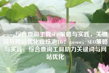 seoseo综合查询工具SEO策略与实践，关键词与网站优化蜘蛛池TG：zzcseo，SEO策略与实践，综合查询工具助力关键词与网站优化