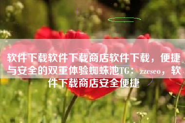 软件下载软件下载商店软件下载，便捷与安全的双重体验蜘蛛池TG：zzcseo，软件下载商店安全便捷