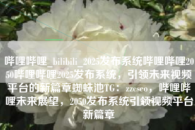 哔哩哔哩_bilibili_2025发布系统哔哩哔哩2050哔哩哔哩2025发布系统，引领未来视频平台的新篇章蜘蛛池TG：zzcseo，哔哩哔哩未来展望，2050发布系统引领视频平台新篇章