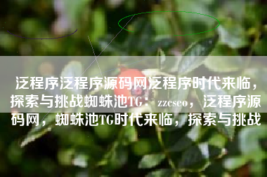 泛程序泛程序源码网泛程序时代来临，探索与挑战蜘蛛池TG：zzcseo，泛程序源码网，蜘蛛池TG时代来临，探索与挑战