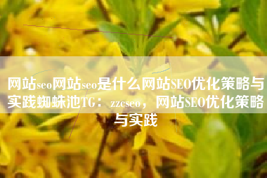 网站seo网站seo是什么网站SEO优化策略与实践蜘蛛池TG：zzcseo，网站SEO优化策略与实践