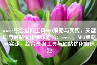 seoseo综合查询工具SEO策略与实践，关键词与网站优化蜘蛛池TG：zzcseo，SEO策略与实践，综合查询工具与网站优化蜘蛛池