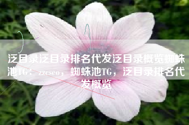 泛目录泛目录排名代发泛目录概览蜘蛛池TG：zzcseo，蜘蛛池TG，泛目录排名代发概览