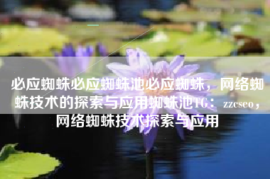 必应蜘蛛必应蜘蛛池必应蜘蛛，网络蜘蛛技术的探索与应用蜘蛛池TG：zzcseo，网络蜘蛛技术探索与应用