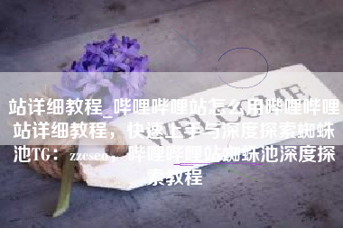 站详细教程_哔哩哔哩站怎么用哔哩哔哩站详细教程，快速上手与深度探索蜘蛛池TG：zzcseo，哔哩哔哩站蜘蛛池深度探索教程
