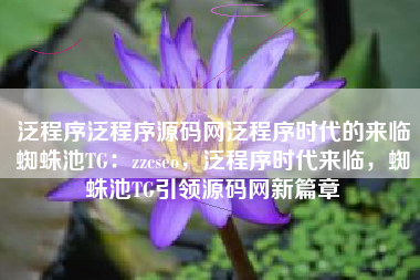 泛程序泛程序源码网泛程序时代的来临蜘蛛池TG：zzcseo，泛程序时代来临，蜘蛛池TG引领源码网新篇章