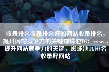 收录排名收录排名好的网站收录排名，提升网站竞争力的关键蜘蛛池TG：zzcseo，提升网站竞争力的关键，蜘蛛池TG排名收录好网站