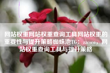 网站权重网站权重查询工具网站权重的重要性与提升策略蜘蛛池TG：zzcseo，网站权重查询工具与提升策略