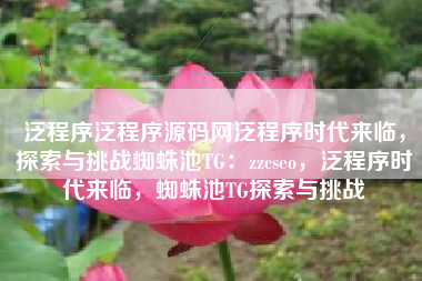 泛程序泛程序源码网泛程序时代来临，探索与挑战蜘蛛池TG：zzcseo，泛程序时代来临，蜘蛛池TG探索与挑战
