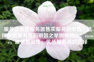 服务器出售服务器售卖服务器出售，选择优质服务商的明智之举蜘蛛池TG：zzcseo，服务器出售，优质服务商的选择