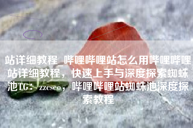 站详细教程_哔哩哔哩站怎么用哔哩哔哩站详细教程，快速上手与深度探索蜘蛛池TG：zzcseo，哔哩哔哩站蜘蛛池深度探索教程