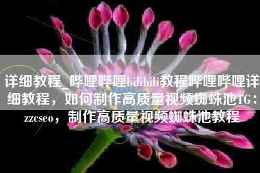 详细教程_哔哩哔哩bilibili教程哔哩哔哩详细教程，如何制作高质量视频蜘蛛池TG：zzcseo，制作高质量视频蜘蛛池教程