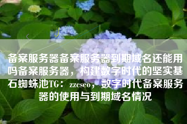 备案服务器备案服务器到期域名还能用吗备案服务器，构建数字时代的坚实基石蜘蛛池TG：zzcseo，数字时代备案服务器的使用与到期域名情况