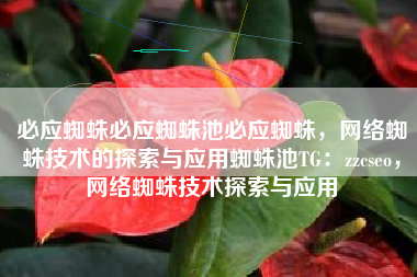 必应蜘蛛必应蜘蛛池必应蜘蛛，网络蜘蛛技术的探索与应用蜘蛛池TG：zzcseo，网络蜘蛛技术探索与应用