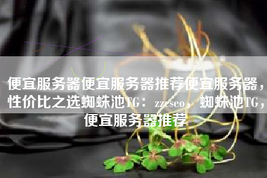 便宜服务器便宜服务器推荐便宜服务器，性价比之选蜘蛛池TG：zzcseo，蜘蛛池TG，便宜服务器推荐