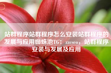 站群程序站群程序怎么安装站群程序的发展与应用蜘蛛池TG：zzcseo，站群程序安装与发展及应用