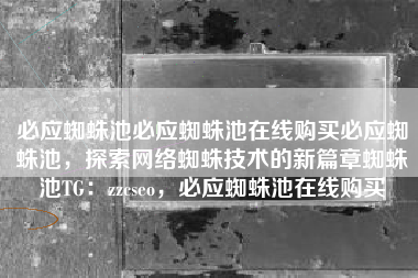 必应蜘蛛池必应蜘蛛池在线购买必应蜘蛛池，探索网络蜘蛛技术的新篇章蜘蛛池TG：zzcseo，必应蜘蛛池在线购买