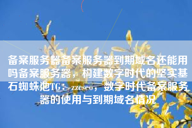 备案服务器备案服务器到期域名还能用吗备案服务器，构建数字时代的坚实基石蜘蛛池TG：zzcseo，数字时代备案服务器的使用与到期域名情况