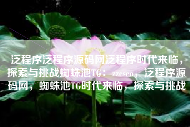 泛程序泛程序源码网泛程序时代来临，探索与挑战蜘蛛池TG：zzcseo，泛程序源码网，蜘蛛池TG时代来临，探索与挑战