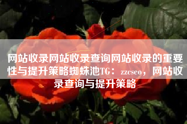 网站收录网站收录查询网站收录的重要性与提升策略蜘蛛池TG：zzcseo，网站收录查询与提升策略