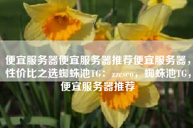 便宜服务器便宜服务器推荐便宜服务器，性价比之选蜘蛛池TG：zzcseo，蜘蛛池TG，便宜服务器推荐