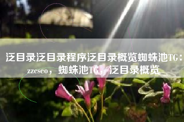 泛目录泛目录程序泛目录概览蜘蛛池TG：zzcseo，蜘蛛池TG，泛目录概览