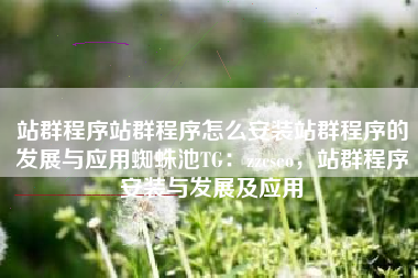 站群程序站群程序怎么安装站群程序的发展与应用蜘蛛池TG：zzcseo，站群程序安装与发展及应用